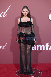 Cannes 2024 - amfAR Gala