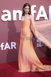 Cannes 2024 - amfAR Gala