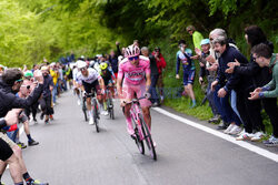 Giro d'Italia 2024