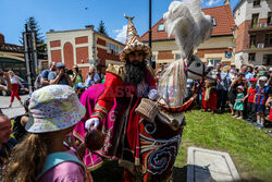 Pochód Lajkonika