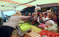 Pochód Lajkonika