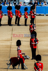 Parada Trooping the Colour w Londynie