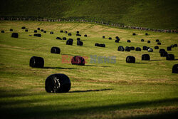 Ultramaraton Centurion South Downs Way 100 - AFP