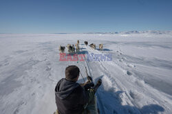 Ostatni inuiccy myśliwi - AFP