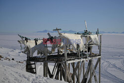 Ostatni inuiccy myśliwi - AFP