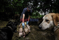 Pasterze owiec w dzikiej dolinie Fournel - AFP