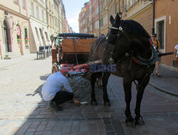 Stock Marek Bazak