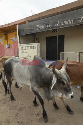 Senegal - Redux Pictures