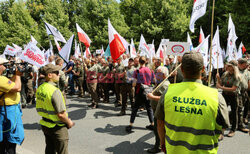 Ogólnopolski protest leśników