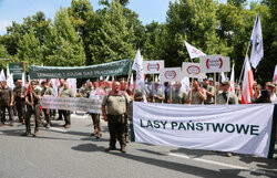 Ogólnopolski protest leśników