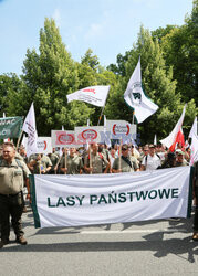 Ogólnopolski protest leśników