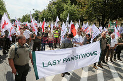 Ogólnopolski protest leśników