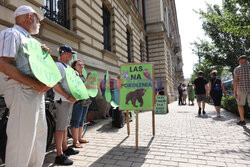 Ogólnopolski protest leśników