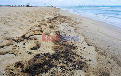 Sprzątanie plaży w Walencji