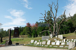  Muzeum Gross Rosen w Rogoznicy