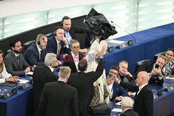 Rumuńska europosłanka Diana Iovanovici Sosoaca wyrzucona z posiedzenia PE