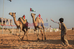 4. Camel Race w El Alamein