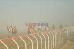 4. Camel Race w El Alamein