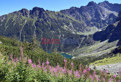 Polskie Tatry Albin Marciniak