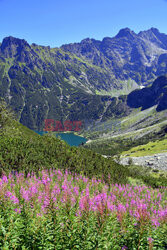 Polskie Tatry Albin Marciniak