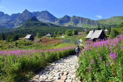 Polskie Tatry Albin Marciniak