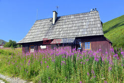 Polskie Tatry Albin Marciniak