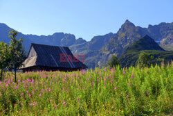 Polskie Tatry Albin Marciniak