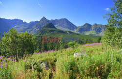 Polskie Tatry Albin Marciniak