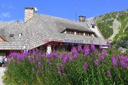 Polskie Tatry Albin Marciniak