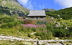 Polskie Tatry Albin Marciniak