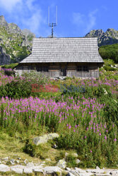 Polskie Tatry Albin Marciniak