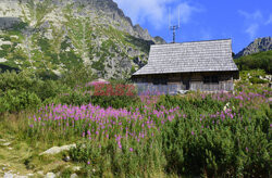 Polskie Tatry Albin Marciniak