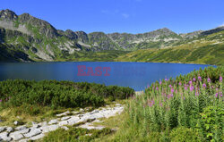 Polskie Tatry Albin Marciniak