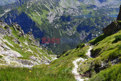 Polskie Tatry Albin Marciniak