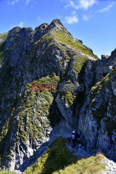 Polskie Tatry Albin Marciniak