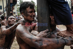 Tradycyjna gra Panjat Pinang w Indonezji