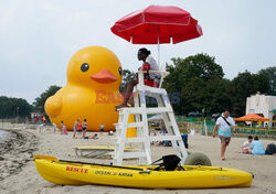 Gigantyczna gumowa kaczka na plaży w Nowym Jorku