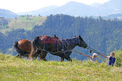 Ukraińskie Karpaty