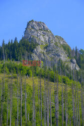 Polskie Tatry Albin Marciniak