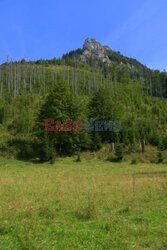 Polskie Tatry Albin Marciniak