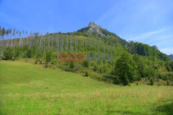 Polskie Tatry Albin Marciniak