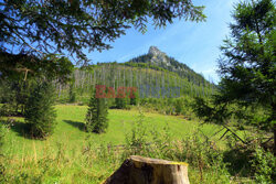 Polskie Tatry Albin Marciniak