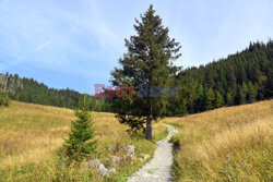 Polskie Tatry Albin Marciniak