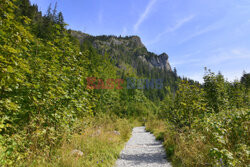 Polskie Tatry Albin Marciniak