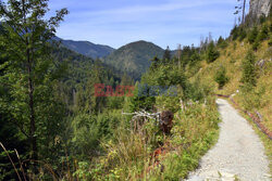 Polskie Tatry Albin Marciniak