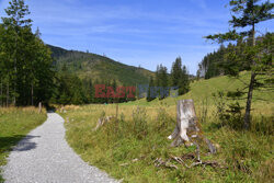 Polskie Tatry Albin Marciniak