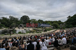 Park tematyczny Puy du Fou we Francji