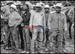 Arizona Black Rodeo - Rex Features