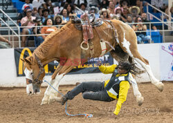 Arizona Black Rodeo - Rex Features