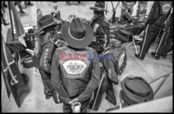 Arizona Black Rodeo - Rex Features